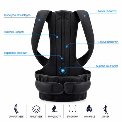 Posture Support Belt